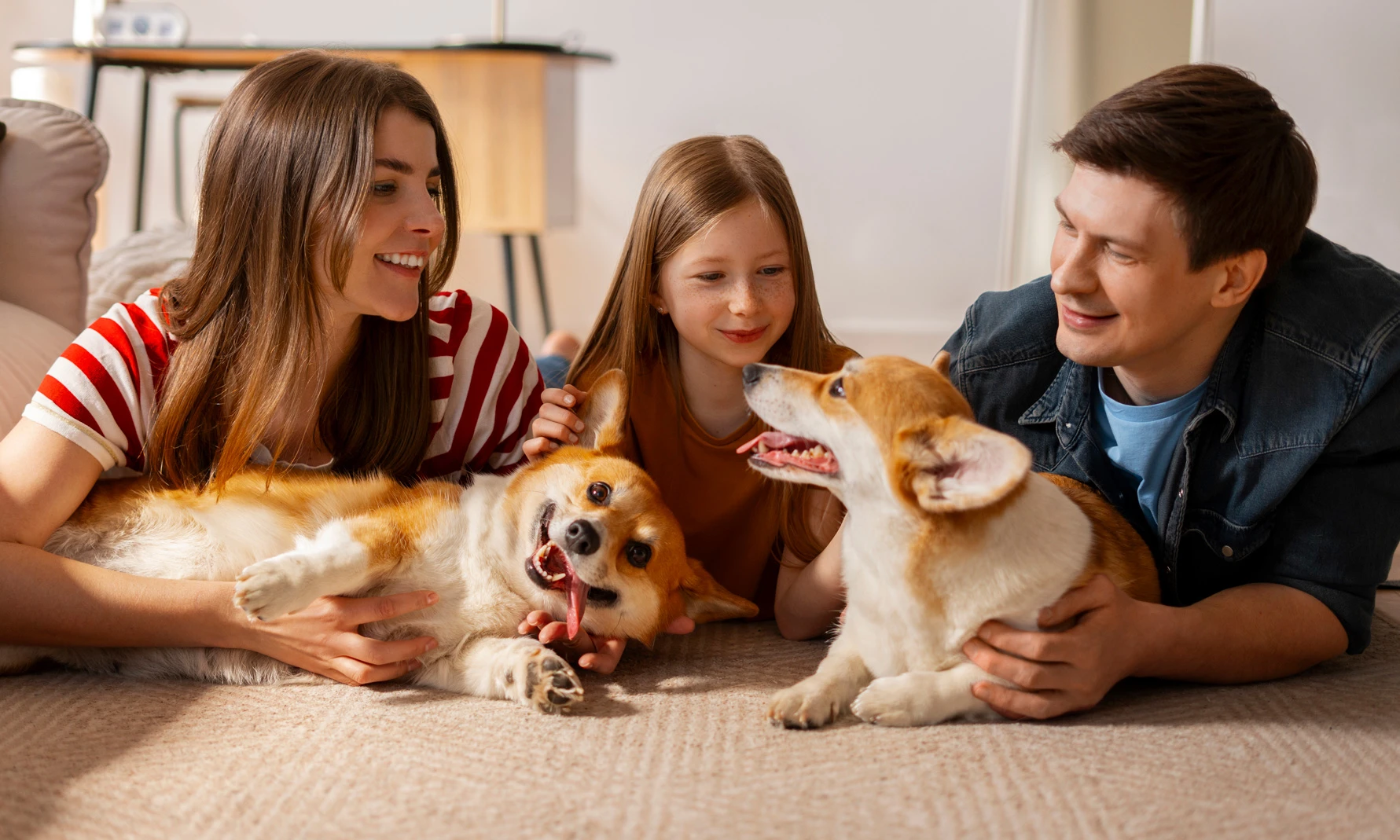people-indoors-loving-their-dogs Gemütlichkeit zu Hause mit Strom von Primavolt