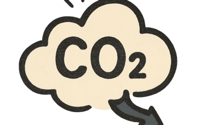 CO2 Preisentwicklung in Deutschland